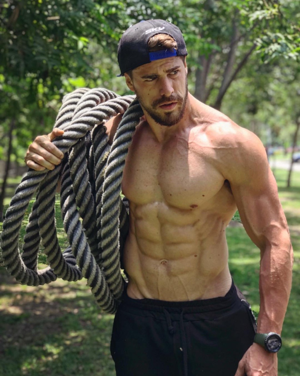 allthebeardos:  