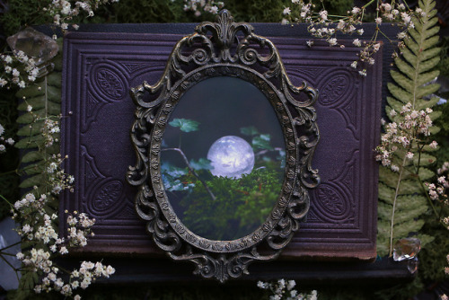 My first ever prints in antique ornate frames are now available at my Etsy Shop - Sedna 90377