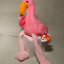 largeflamingo