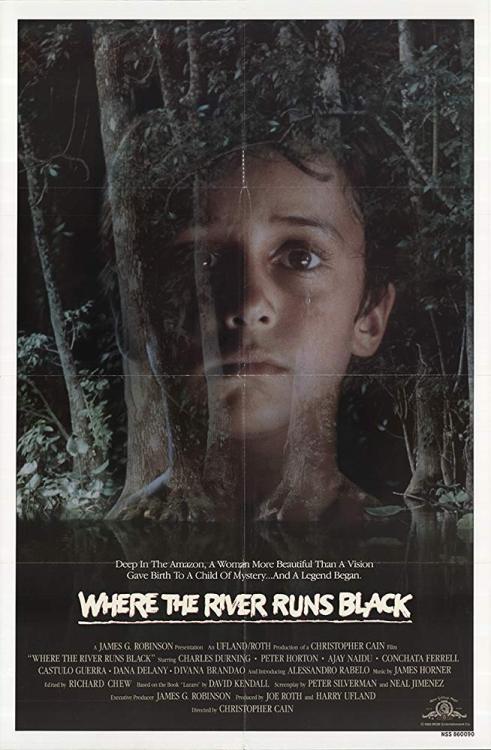 Where the River Runs Black (1986)PG | Adventure An orphaned boy who was raised in the Amazon jungle 