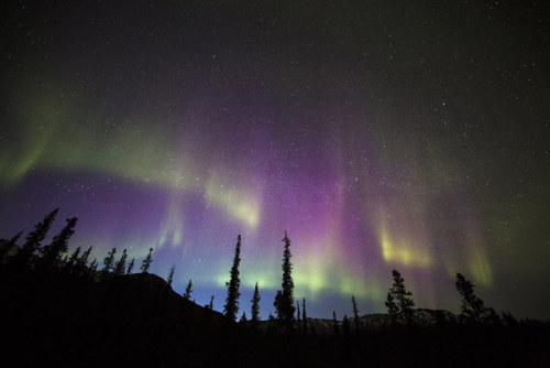 The Aurora Borelis Over Denali National Park, Alaska.