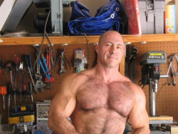 Muscle Bear Hairy