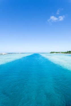 touchdisky:  The river within the sea, Kumejima