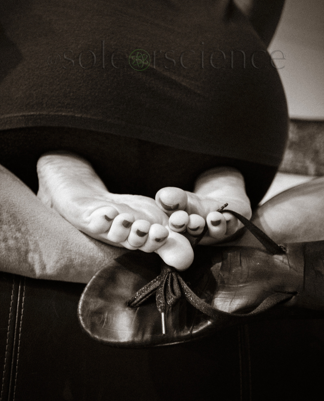 soleorscience