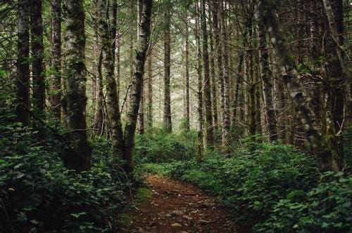 admirebeauty: Campbell River, BC, Canada Admire Beauty PhotographyTumblr / FacebookPlease do not rem