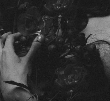 star-eaters:Moodboard: Dionysus and MaenadsA dangerous kind of pleasure
