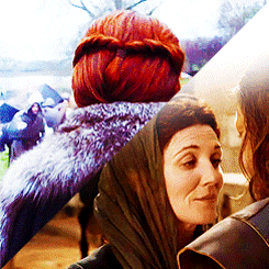 seerspirit-blog:On my honor as a Tully, on my honor as a Stark…
