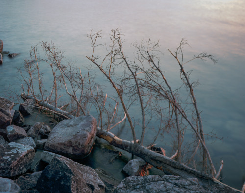 Michigan, 2014