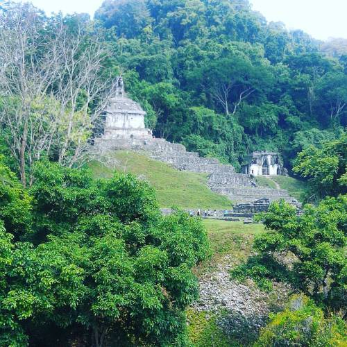 alexcoaster:  #Palenque #Ruinas #Arqueológicas #Arqueomayas #Jungle #Selva #Chiapas #Mexico (en Pale