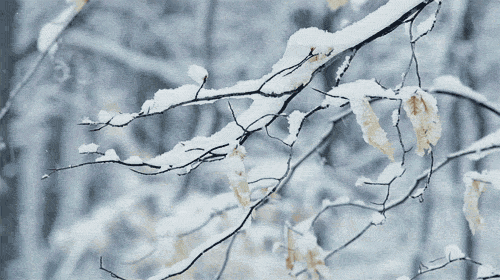 makistims:Falling snow stimboard for anon!