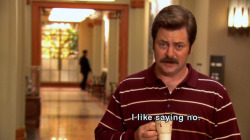 Ron Swanson is the man I aspire to be.