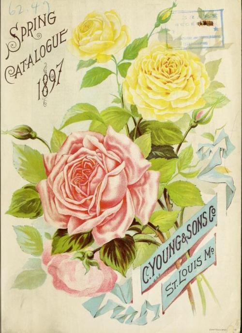 heaveninawildflower:Spring seed catalogues (from late 1800′s to early 1900′s). Not in da