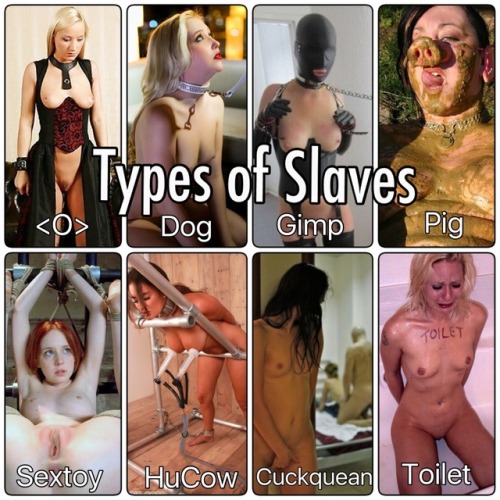 slave-lilly: totalslavery: Or you could train porn pictures