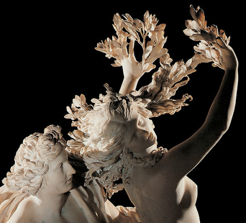 tritticodelledelizie: Gian Lorenzo Bernini, Apollo e Daphne. from Ovid’s Metamorphoses