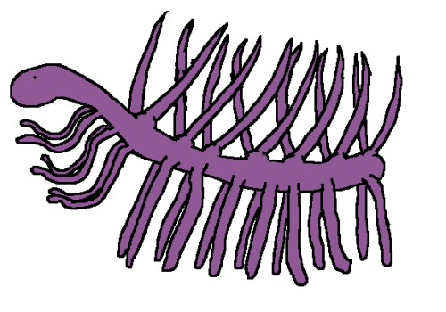 Hallucigenia – Middle Cambrian (508 Ma)It’s been too long since I featured something from the Burges