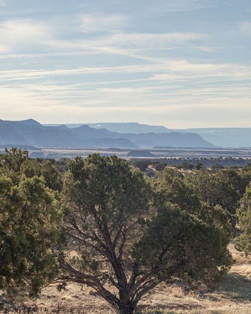 Our #campspot was so beautiful this past weekend in Fruita. Can’t wait to get back there on a 