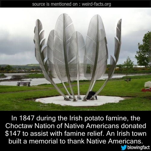 soglideaway: alex-is-sleepy: brasstothegrass: snow-hog: mindblowingfactz: In 1847 during the Irish p