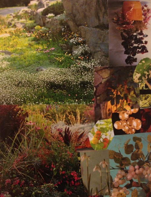 sparrf: field collage