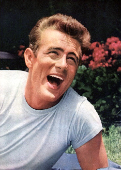 jamesdeaner:  I read in the columns of that