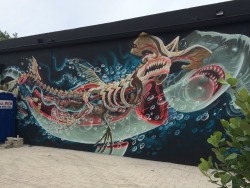 graffvandal:  Found In Wynwood Miami By:Nychos  