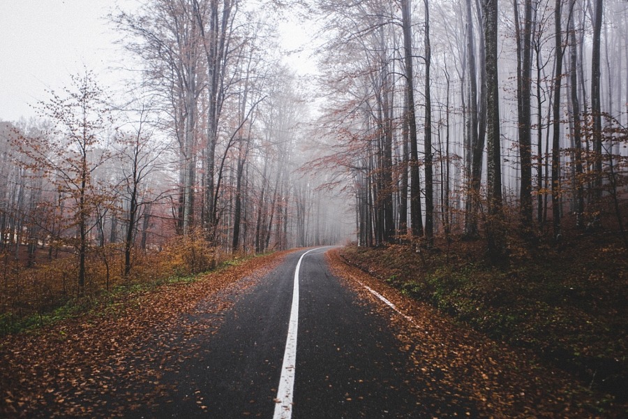 magic-spelldust:   Autumn by Szabo Ervin-Edward   