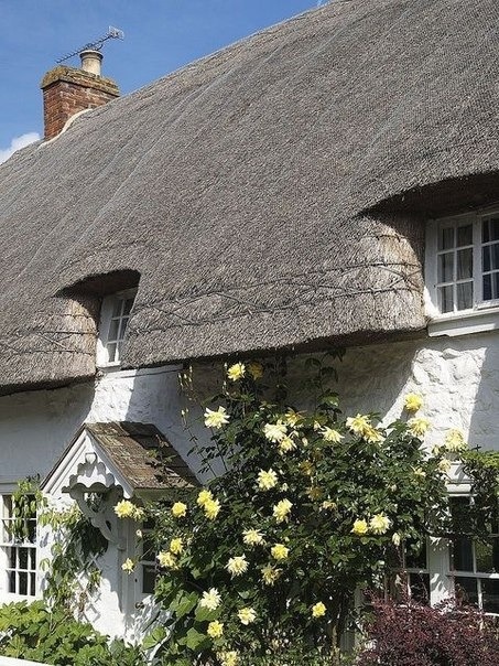 Wiltshire, England.
