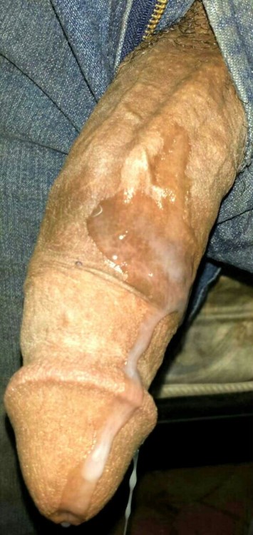 abdelbeur75:  Syrian
