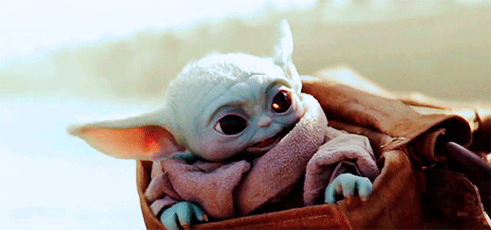 Just Some Random Gifs Baby In The Bag Bonus