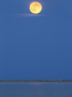 mypubliclands:  This week was to be the 100th anniversary of “Speed Week” at Bonneville Salt Flats but summer thunderstorms covered the flats with water forcing the cancellation of the event.  That didn’t stop  small crowd from gathering at the