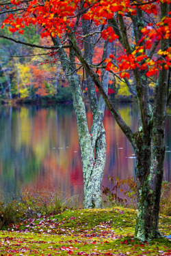 wowtastic-nature:  💙 Colors of Fall on