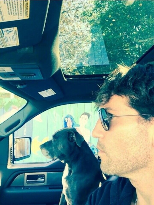 Jon + Dogs + Cars Is A Combo We Need More Of As A Species I Think