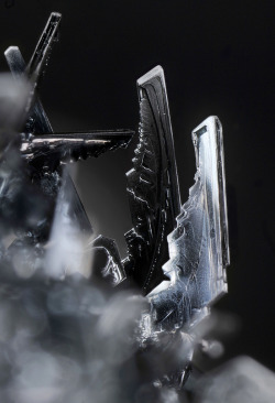 creatio-ex-materia:  iodine crystals (by