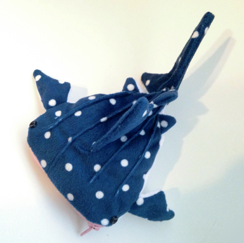 42% FUNDED!Thank you for your support and shares on the Whale Shark KickStarter so far, all! We&rsqu