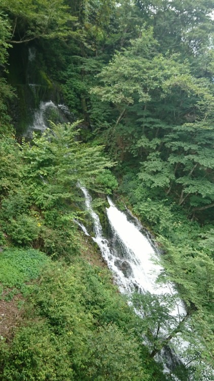 daichi6ki:  Kegon Falls One of the best three falls in Japan.