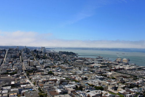 the view of san francisco from the coit tower