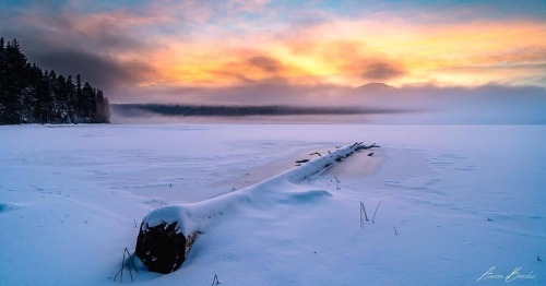 Photo from @aaron.bocchi - Lake of the Woods - Image selected by @ericmuhr - Join us in exploring #O