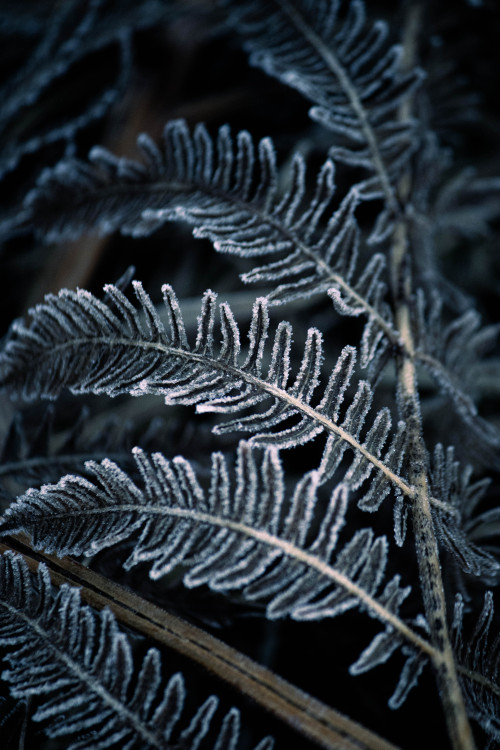 I've Started A Print Shop!
