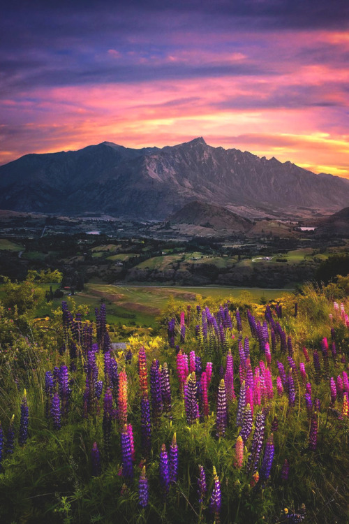 lsleofskye: Sunset from Coronet Peak! | south_of_home