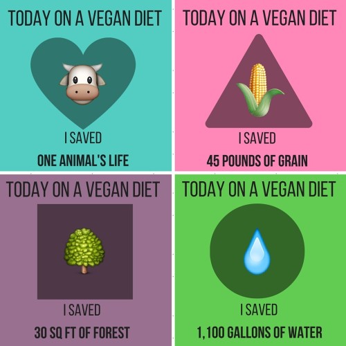 animalplace: What vegan saves. Source: Cowspiracy.  People have reposted, stolen, taken my name