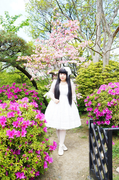 white lolita