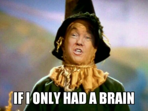 Of course, if he did have a brain it would only make him more dangerous.