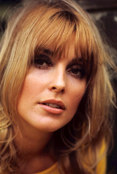 Sharon Tate by Orlando Suero, 1966 adult photos