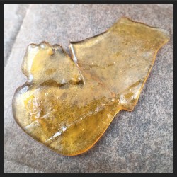 terpsincluded:  More Golden Bubblegum #golden #bubblegum #stable #shatter #clarity #dabs #dewaxed #purgeproper #710 #oil #terpsincluded #weed #hash #weedstagram #instahash