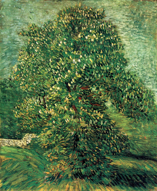 chadmsirois:Chestnut Tree in Blossom, Vincent van Gogh, 1887
