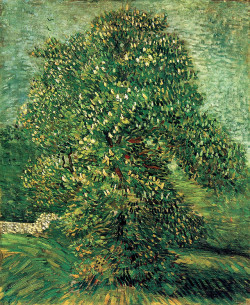 artist-vangogh:  Chestnut Tree in Blossom, 1887, Vincent van GoghMedium: oil,canvashttps://www.wikiart.org/en/vincent-van-gogh/chestnut-tree-in-blossom-1887