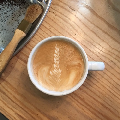 XXX some latte art from the past couple days photo