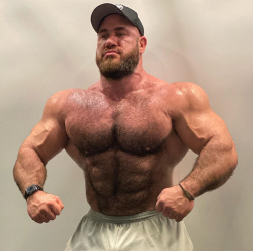 jimbibearfan:what a bull porn pictures