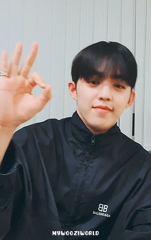 Happy Seungcheol Day!