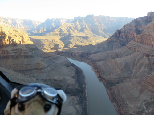 adventuresofharry:  Sadly, the three million plus gallons of pollutants that were accidentally relea