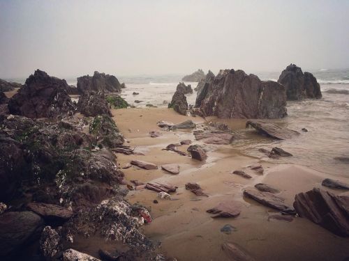 more misty beach #devoncoast #beach #seafog #nature #naturetherapy #nomearthttps://www.instagram.com